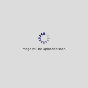 Bushing (5569)